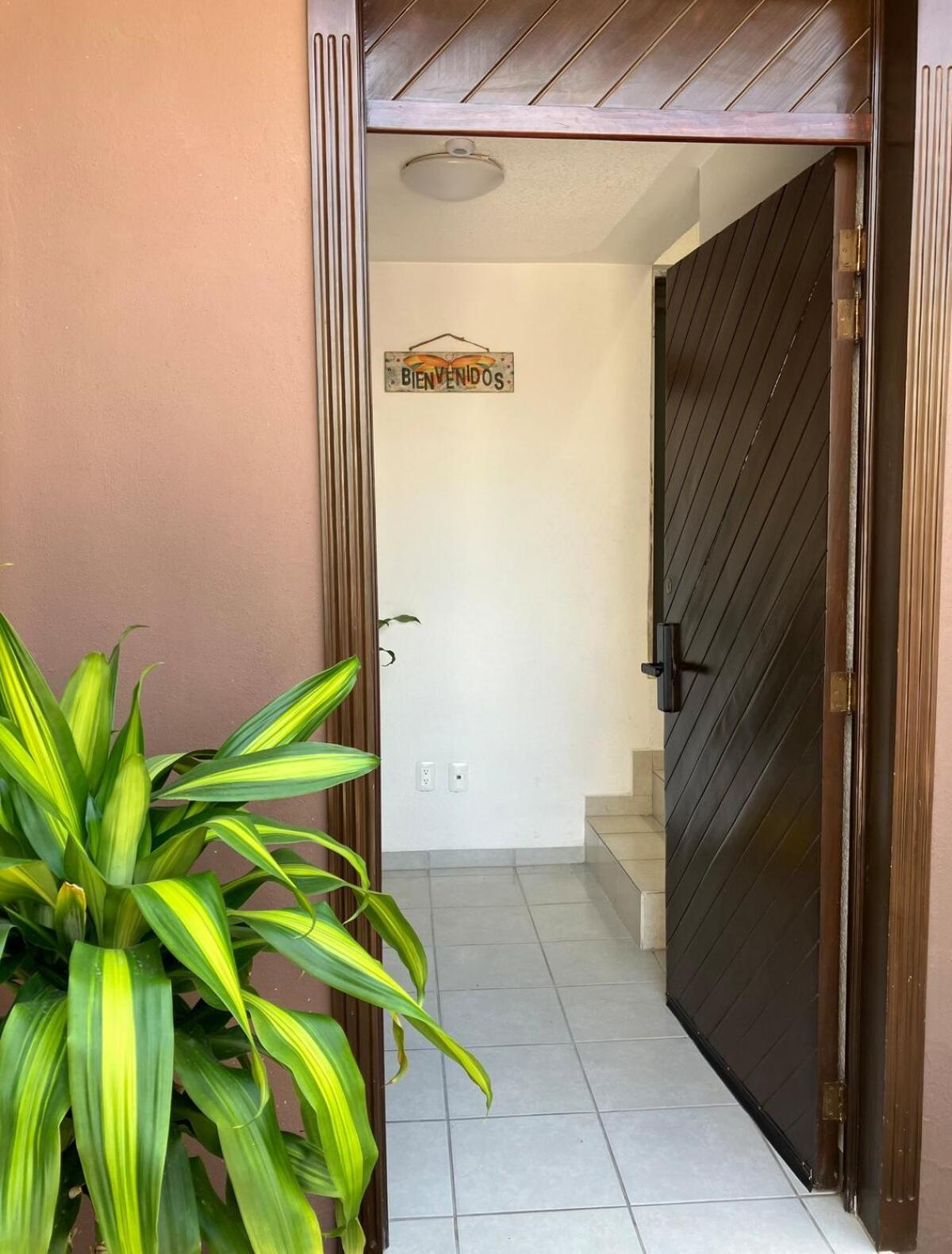 Departamento Diego Rivera Apartment *